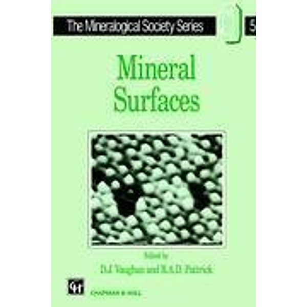 Mineral Surfaces