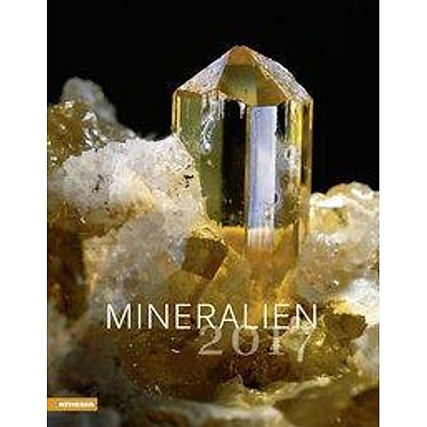 Mineralien 2017
