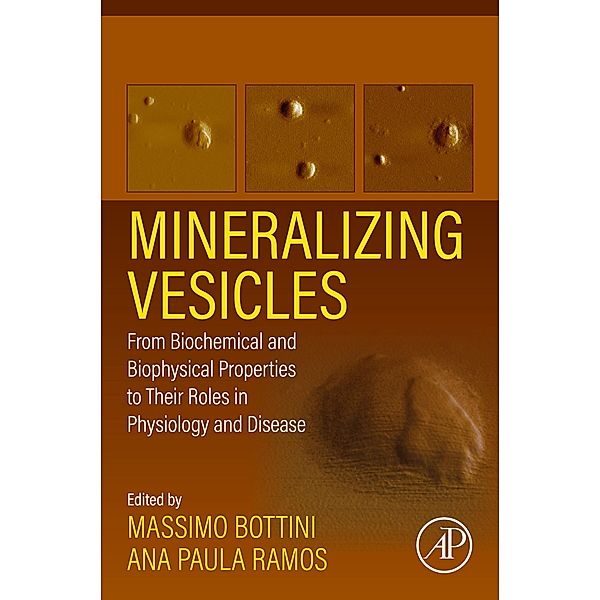 Mineralizing Vesicles