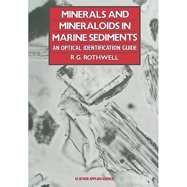 Minerals and Mineraloids in Marine Sediments