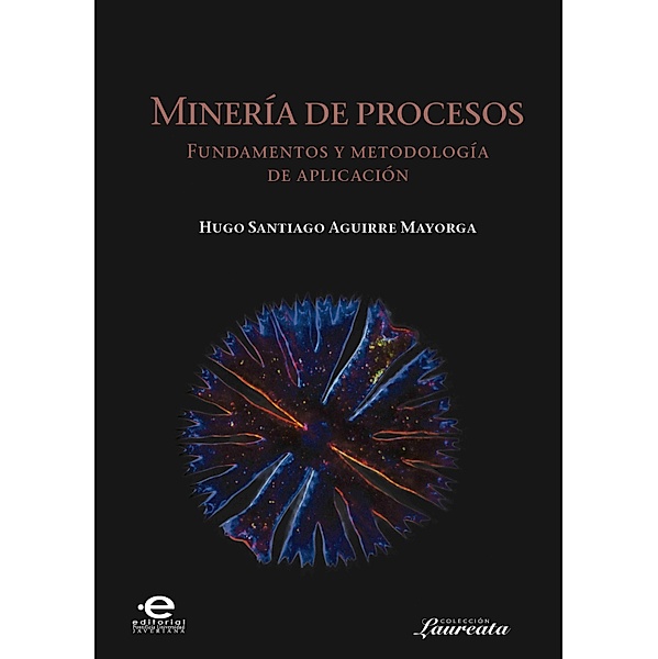 Minería de procesos / Laureata Bd.6, Hugo Santiago Aguirre Mayorga