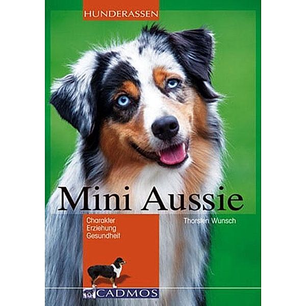 Mini-Aussie, Thorsten Wunsch