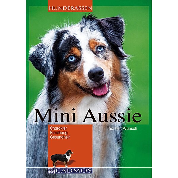 Mini Aussie / Hunderassen, Thorsten Wunsch