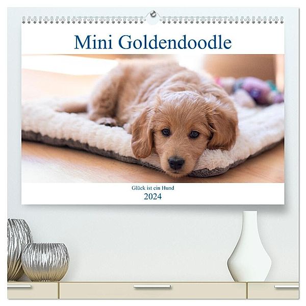 Mini Goldendoodle - Glück ist ein Hund (hochwertiger Premium Wandkalender 2024 DIN A2 quer), Kunstdruck in Hochglanz, Stephan Schulz