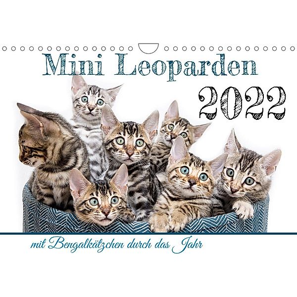 Mini Leoparden - mit Bengalkätzchen durch das Jahr (Wandkalender 2022 DIN A4 quer), Bethari - Sylke Enderlein