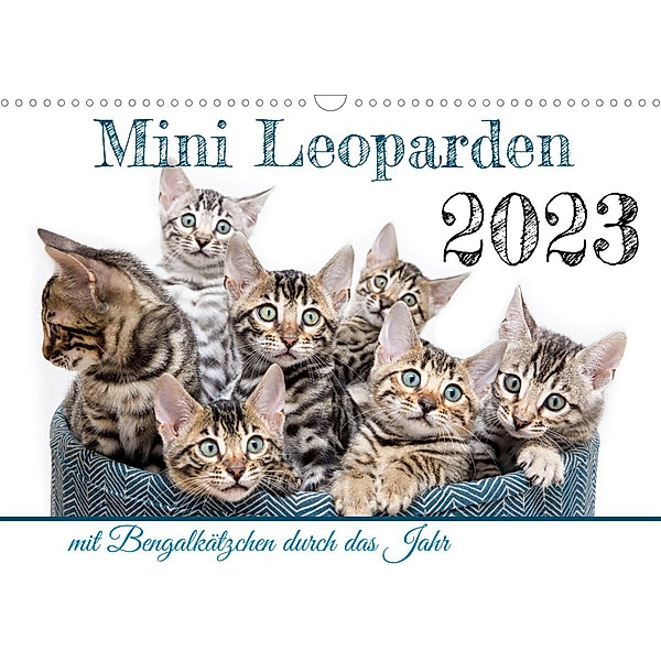 Mini Leoparden - mit Bengalkätzchen durch das Jahr (Wandkalender 2023 DIN A3 quer), Bethari - Sylke Enderlein