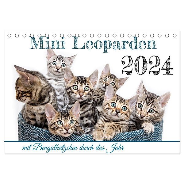 Mini Leoparden - mit Bengalkätzchen durch das Jahr (Tischkalender 2024 DIN A5 quer), CALVENDO Monatskalender, Bethari - Sylke Enderlein