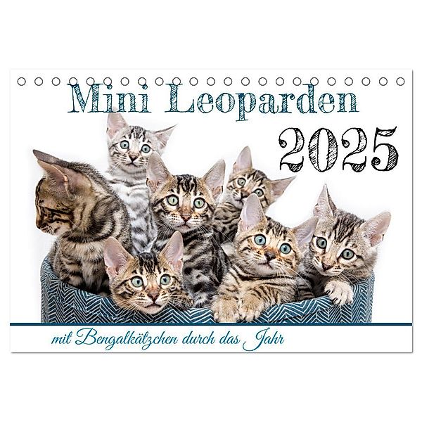 Mini Leoparden - mit Bengalkätzchen durch das Jahr (Tischkalender 2025 DIN A5 quer), CALVENDO Monatskalender, Calvendo, Bethari - Sylke Enderlein