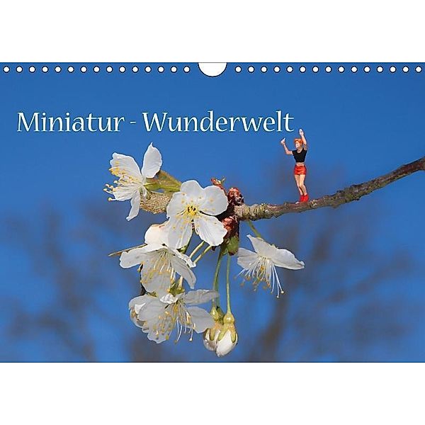 Miniatur-Wunderwelt (Wandkalender 2017 DIN A4 quer), Cornelia Nerlich