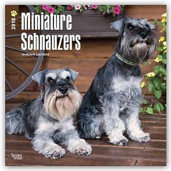 Miniature Schnauzers 2018, BrownTrout Publisher