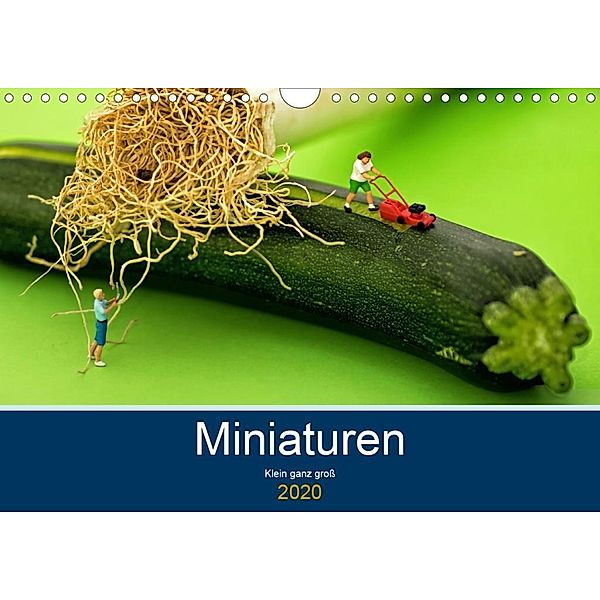 Miniaturen - Klein ganz groß (Wandkalender 2020 DIN A4 quer), Ute Jackisch