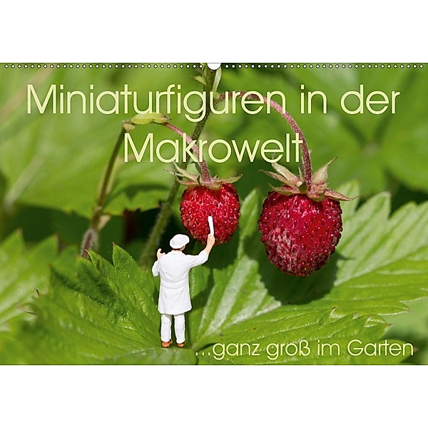 Miniaturfiguren in der Makrowelt ...ganz groß im Garten (Wandkalender 2020 DIN A2 quer), stephi abels