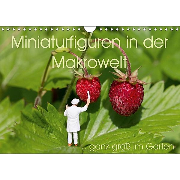 Miniaturfiguren in der Makrowelt ...ganz groß im Garten (Wandkalender 2020 DIN A4 quer), stephi abels