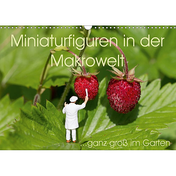 Miniaturfiguren in der Makrowelt ...ganz groß im Garten (Wandkalender 2020 DIN A3 quer), stephi abels