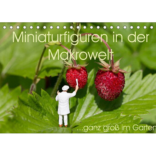 Miniaturfiguren in der Makrowelt ...ganz groß im Garten (Tischkalender 2022 DIN A5 quer), stephi abels