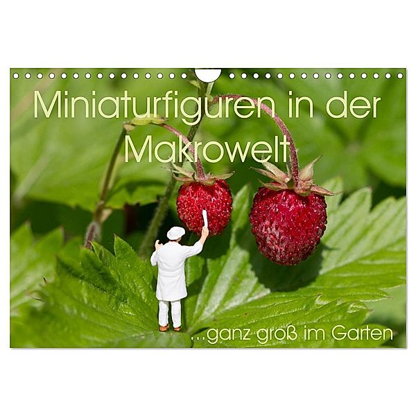 Miniaturfiguren in der Makrowelt ...ganz gross im Garten (Wandkalender 2024 DIN A4 quer), CALVENDO Monatskalender, stephi abels