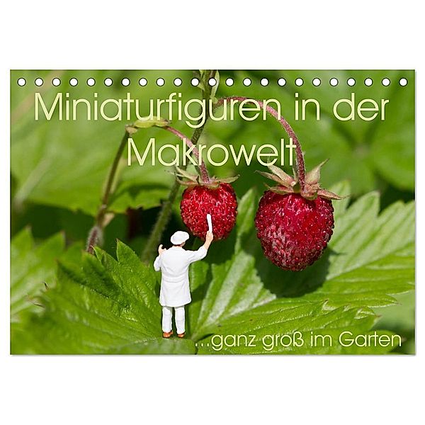 Miniaturfiguren in der Makrowelt ...ganz gross im Garten (Tischkalender 2024 DIN A5 quer), CALVENDO Monatskalender, stephi abels