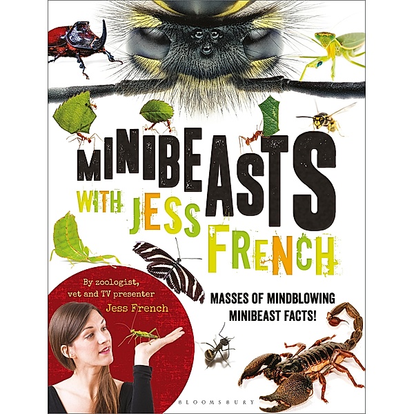 Minibeasts with Jess French, Jess French