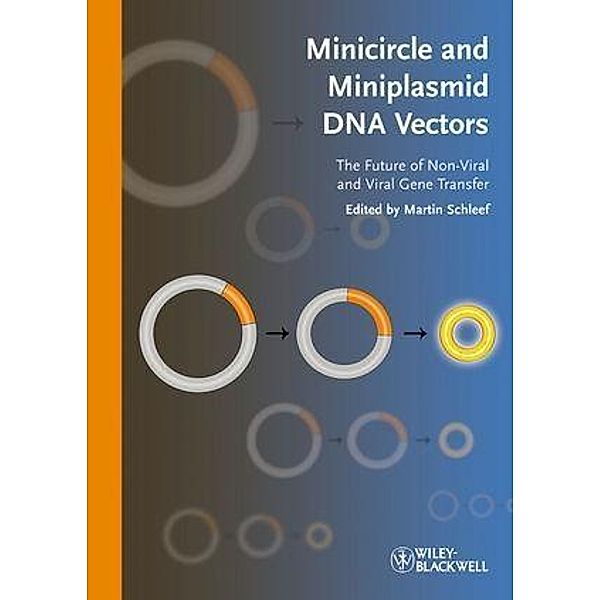 Minicircle and Miniplasmid DNA Vectors