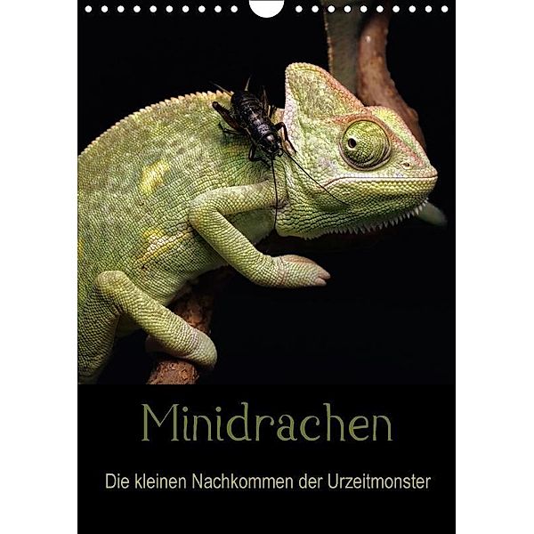 Minidrachen - Die kleinen Nachkommen der Urzeitmonster (Wandkalender 2017 DIN A4 hoch), Sigrid Enkemeier
