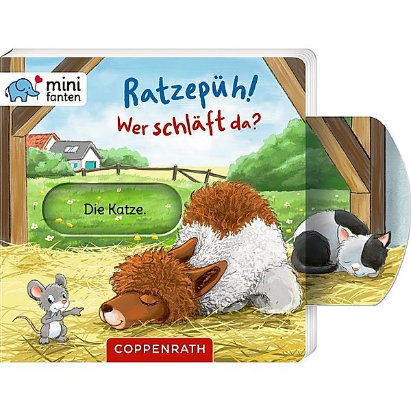 minifanten 41: Ratzepüh! Wer schläft da?