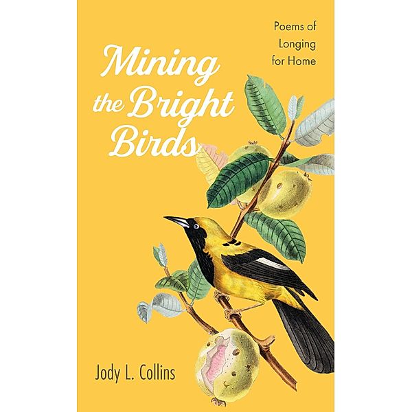 Mining the Bright Birds, Jody L. Collins