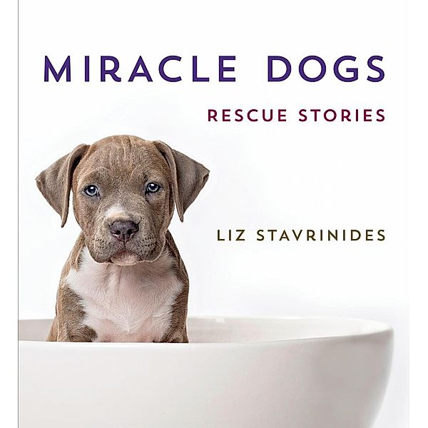 Miracle Dogs, Liz Stavrinides