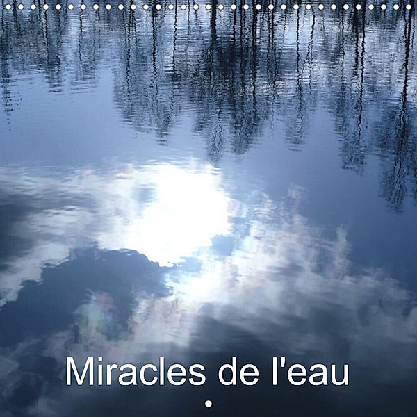 Miracles de l'eau (Calendrier mural 2023 300 × 300 mm Square), Terry