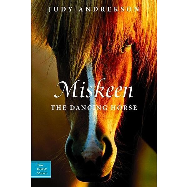 Miskeen / True Horse Stories Bd.3, Judy Andrekson