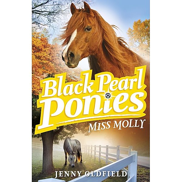 Miss Molly / Black Pearl Ponies Bd.3, Jenny Oldfield