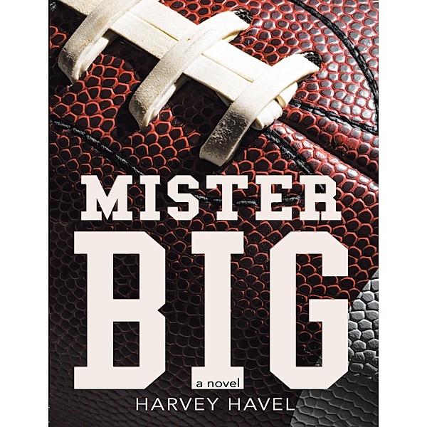 Mister Big: A Novel, Harvey Havel