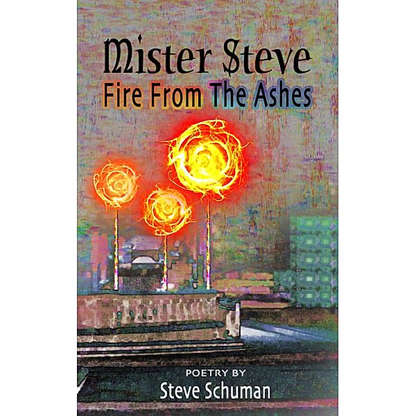 Mister Steve: Fire From The Ashes, Steve Schuman