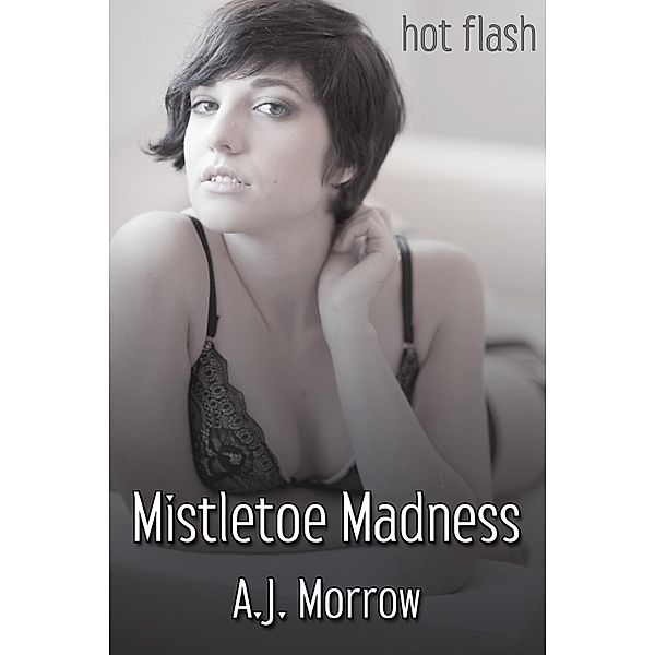 Mistletoe Madness / JMS Books LLC, A. J. Morrow