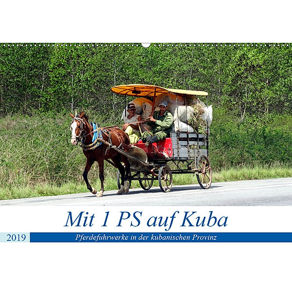 Mit 1 PS auf Kuba - Pferdefuhrwerke in der kubanischen Provinz (Wandkalender 2019 DIN A2 quer), Henning von Löwis of Menar