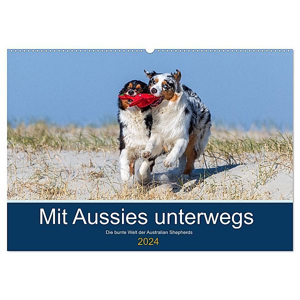 Mit Aussies unterwegs - Die bunte Welt der Australian Shepherds (Wandkalender 2024 DIN A2 quer), CALVENDO Monatskalender, Annett Mirsberger