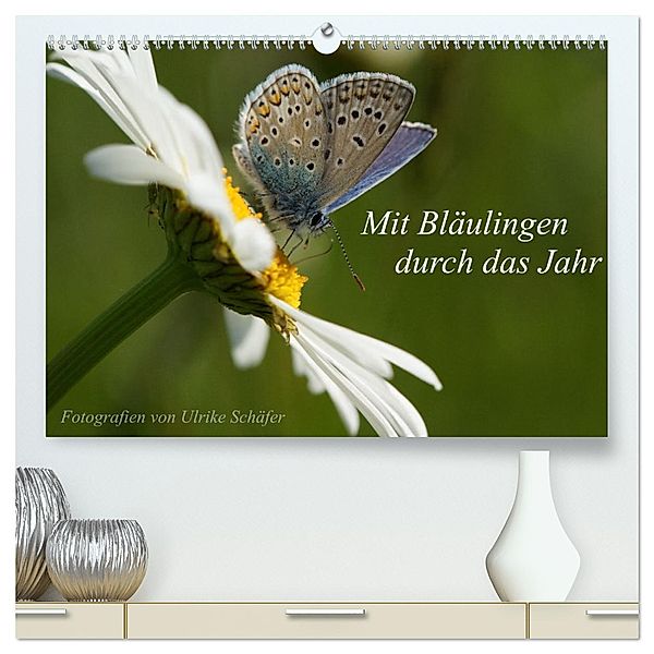 Mit Bläulingen durch das Jahr (hochwertiger Premium Wandkalender 2025 DIN A2 quer), Kunstdruck in Hochglanz, Calvendo, Ulrike Schäfer