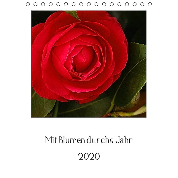 Mit Blumen durchs Jahr (Tischkalender 2020 DIN A5 hoch), Traude Scholz
