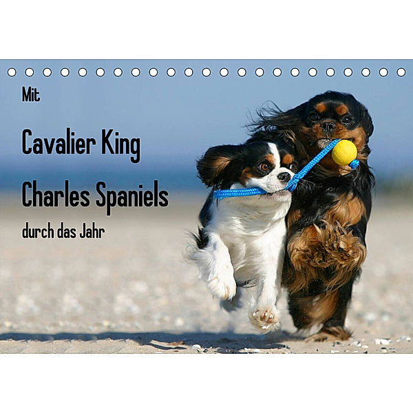 Mit Cavalier King Charles Spaniels durch das Jahr (Tischkalender 2023 DIN A5 quer), Petra Wegner