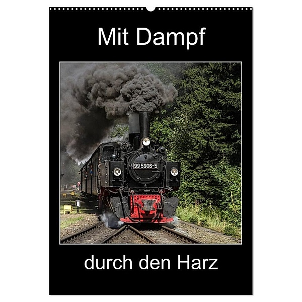 Mit Dampf durch den Harz (Wandkalender 2024 DIN A2 hoch), CALVENDO Monatskalender, Marion Maurer