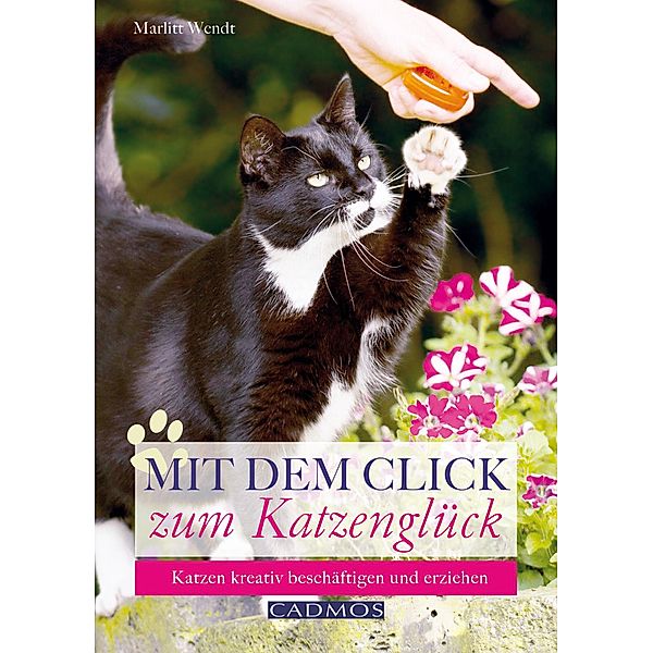 Mit dem Click zum Katzenglück / Katzen, Marlitt Wendt