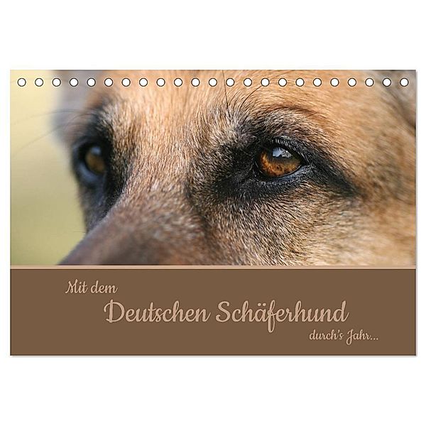 Mit dem Deutschen Schäferhund durch's Jahr (Tischkalender 2024 DIN A5 quer), CALVENDO Monatskalender, Claudia Steininger