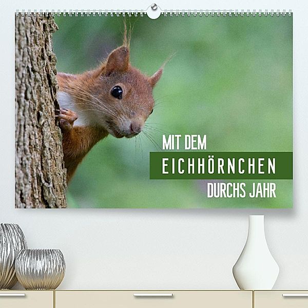 Mit dem Eichhörnchen durchs Jahr (Premium, hochwertiger DIN A2 Wandkalender 2023, Kunstdruck in Hochglanz), Margret Brackhan