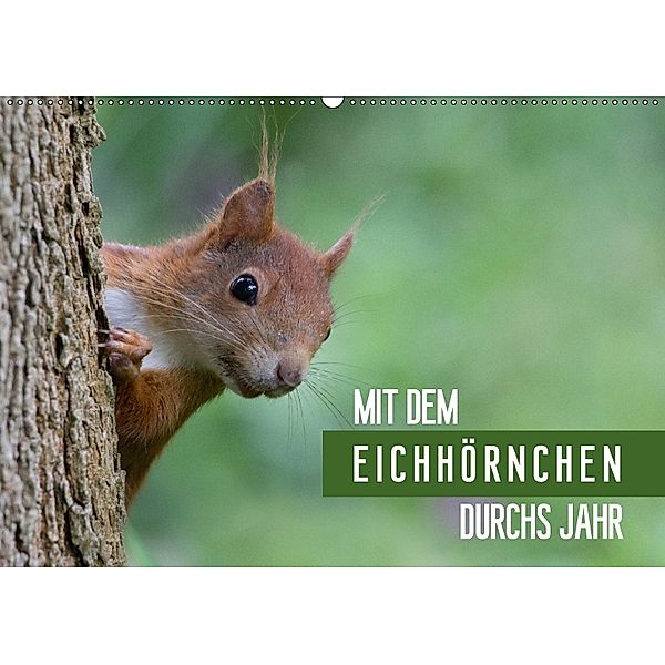 Mit dem Eichhörnchen durchs Jahr (Wandkalender 2018 DIN A2 quer), Margret Brackhan