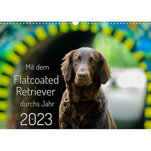 Mit dem Flatcoated Retriever durchs Jahr (Wandkalender 2023 DIN A3 quer), Stephan Röhl