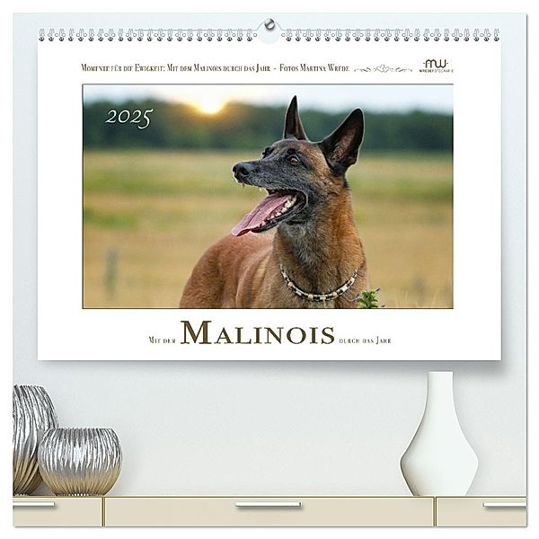 Mit dem Malinois durch das Jahr (hochwertiger Premium Wandkalender 2025 DIN A2 quer), Kunstdruck in Hochglanz, Calvendo, Martina Wrede - Wredefotografie