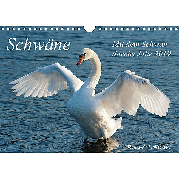 Mit dem Schwan durchs Jahr 2019 (Wandkalender 2019 DIN A4 quer), Roland T. Frank