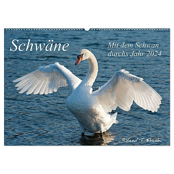 Mit dem Schwan durchs Jahr 2024 (Wandkalender 2024 DIN A2 quer), CALVENDO Monatskalender, Roland T. Frank