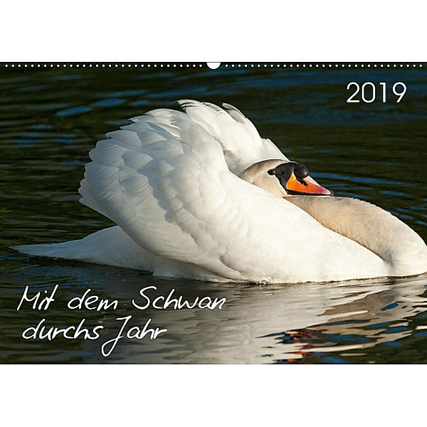 Mit dem Schwan durchs JahrAT-Version (Wandkalender 2019 DIN A2 quer), Roland T. Frank