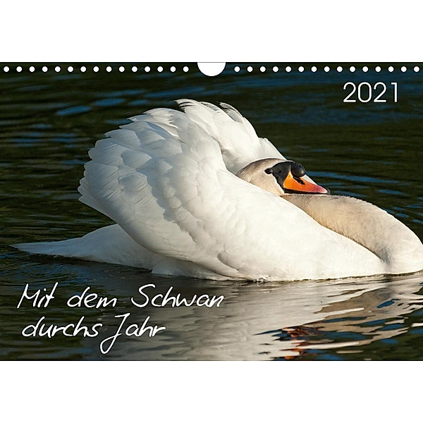Mit dem Schwan durchs JahrAT-Version (Wandkalender 2021 DIN A4 quer), Roland T. Frank