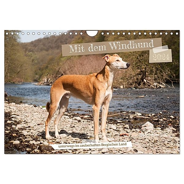 Mit dem Windhund unterwegs im zauberhaften Bergischen Land (Wandkalender 2024 DIN A4 quer), CALVENDO Monatskalender, Calvendo, Meike Bölts